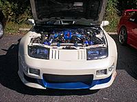 ECZA's Fall Meet 10/12/08-ecza7.jpg