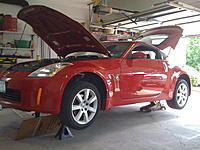 Albany Area Zs + Gs-img_0162.jpg