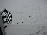 what it looks like outside!-img_0042.jpg
