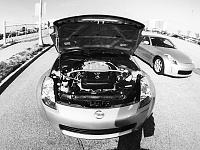 Long Island, NY Collisium 11/24 meet (missing pics)-350z_engine_bw_lr.jpg