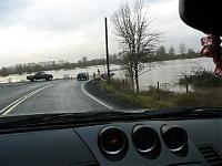 Some pics I took Tuesday-img_1221.jpg