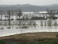 Some pics I took Tuesday-img_1223.jpg