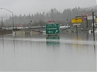 Some pics I took Tuesday-img_1253.jpg