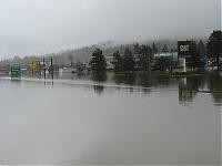 Some pics I took Tuesday-img_1254.jpg