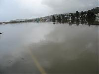 Some pics I took Tuesday-img_1261.jpg