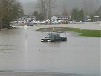 Some pics I took Tuesday-img_1252.jpg