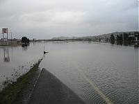 Some pics I took Tuesday-img_1275.jpg