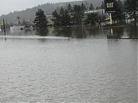 Some pics I took Tuesday-img_1279.jpg