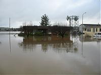 Some pics I took Tuesday-img_1284.jpg