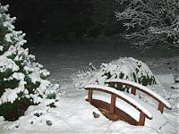 East-Side (Bellevue, Renton, Kirkland...) Pre-Pre Golden Gardens Meet-snow.jpg