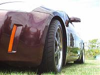 Purdy pics from Purdy....-z-8.jpg