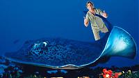 Ernie's famous!-steve_irwin_stingray.jpg