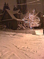 Anyone putting on snows by the end of the week?-snow-010.jpg