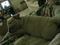 Let me introduce you to Max-dsc02199.jpg