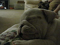 Let me introduce you to Max-dsc02201.jpg