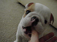Let me introduce you to Max-dsc02204.jpg