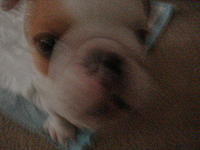 Let me introduce you to Max-dsc02203.jpg
