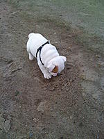 Let me introduce you to Max-017.jpg