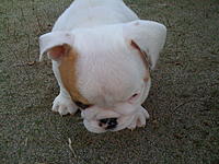 Let me introduce you to Max-018.jpg