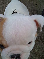 Let me introduce you to Max-019.jpg