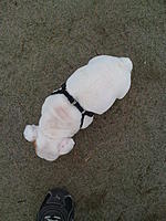 Let me introduce you to Max-020.jpg
