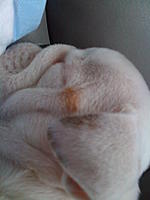 Let me introduce you to Max-022.jpg