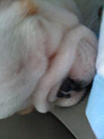 Let me introduce you to Max-023.jpg