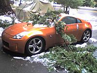 Tree = 1 ; My 350z = 0-01-05-09_1326.jpg