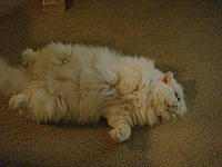 Let me introduce you to Max-dsc02175.jpg
