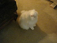 Let me introduce you to Max-dsc02180.jpg