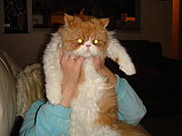 Let me introduce you to Max-274.jpg