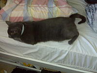 Let me introduce you to Max-011.jpg