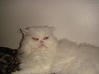 Let me introduce you to Max-010.jpg