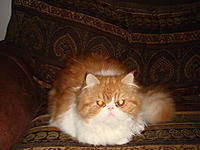 Let me introduce you to Max-007.jpg