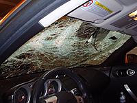 Tree = 1 ; My 350z = 0-031small.jpg