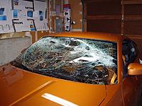 Tree = 1 ; My 350z = 0-029small.jpg