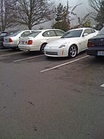 The ONE, the ONLY, FINAL Spotted Thread-img_0037.jpg