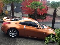 New lady here-driveway.jpg