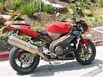 Any Riders on the board?-aprilia-142_smallest.jpg