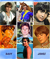 DivineZ... I think you're hawt...-davy-jones-collage.jpg