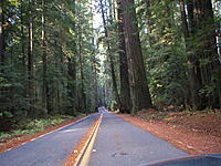 Planning roadtrip - North California Coast-pb130006.jpg