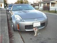 Sacramento Z Owners-rabbit.jpg