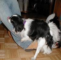 Friendster....-leg.jpg