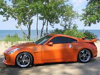Spotted...ORANGE Z-my1.jpg