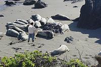 2nd Annual Red Robin/Treasure Island Meet-tonyandseals-copy.jpg