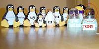 OT: (NWS) Linux World this week @ SF Moscone-tony.jpg