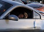 4th Annual "The Run" - December 9th, 2006, Tampa Bay, FL-img_2083w.jpg