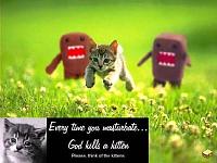 F- the fealer going ballz deep!-kitten.jpg