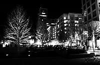 Few shots with borrowed D70-urban_trees_by_firekrave.jpg