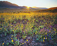 HDR photography.-starburst_l.jpg
